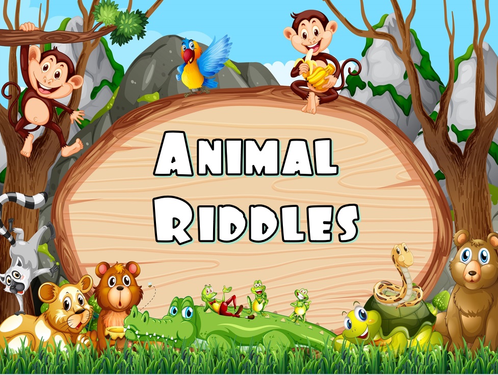 ANIMAL RIDDLES - KIDIBOT Knowledge Battles