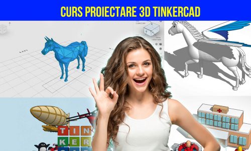 Curs proiectare 3D Tinkercad pentru copii